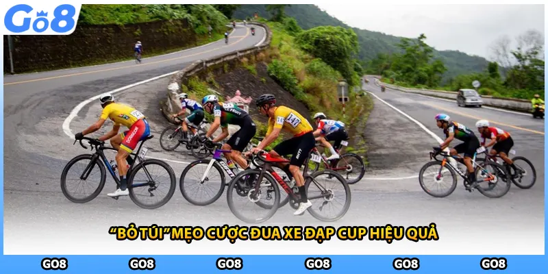 “Bỏ túi” mẹo cược đua xe đạp cup hiệu quả 